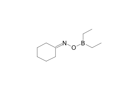 Cyclohexanone, O-(diethylboryl)oxime