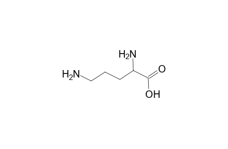 ORNITHINE;REACTED-WITH-HCHO