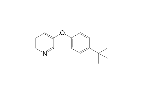 3-(p-tert-BUTYLPHENOXY)PYRIDINE