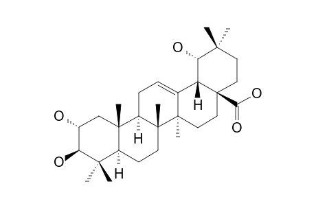 ARJUNIC-ACID;2-ALPHA,3-BETA,19-ALPHA-TRIHYDROXYL-OLEAN-12-EN-28-OIC-ACID