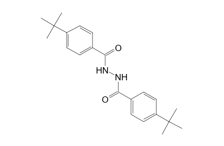 1,2-bis(p-Tert-butylbenzoyl)hydrazine