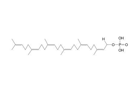 all-Z-Hexaprenylphosphate