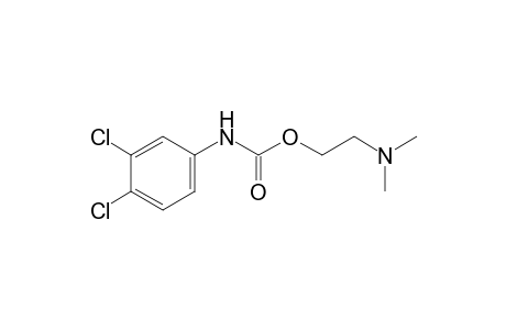 3,4-dichlorocarbanilic acid, 2-(dimethylamino)ethyl ester