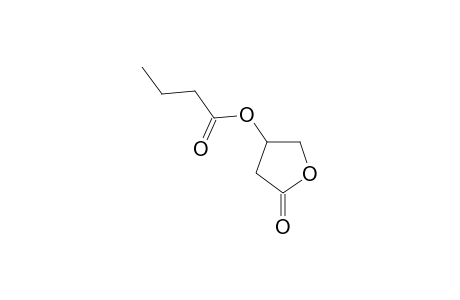 N-Butyrylcarnitine oxylactone