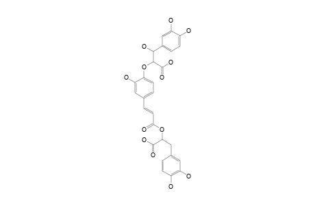 SALVIANOLIC-ACID-K