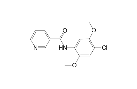 N-(4-chloro-2,5-dimethoxy-phenyl)-nicotinamide