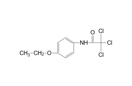 2,2,2-trichloro-p-acetophenetidide