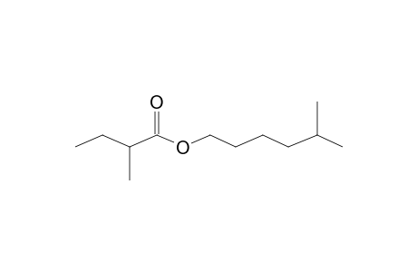 5-Methylhexyl 2-methylbutanoate