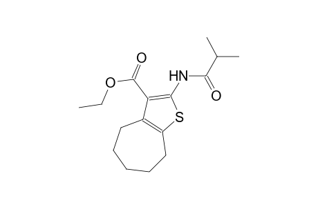 ethyl 2-(isobutyrylamino)-5,6,7,8-tetrahydro-4H-cyclohepta[b]thiophene-3-carboxylate