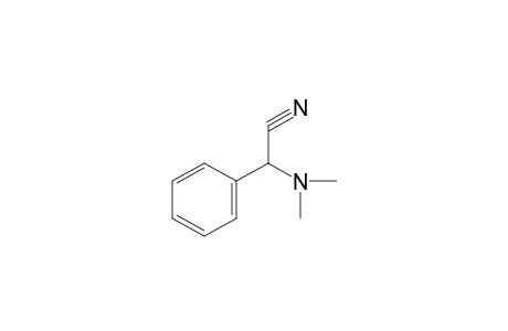 N,N-dimethyl-2-phenylglycinonitrile