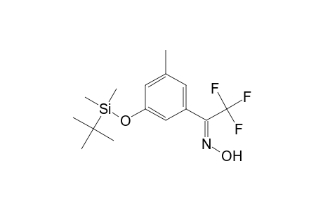 1-(3-t-Butyldimethylsilyloxy-5-methylphenyl)-2,2,2-trifluoroethanone Oxime