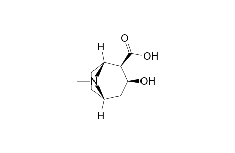 Ecgonine