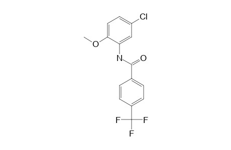 Benzamide, 4-trifluoromethyl-N-(5-chloro-2-methoxyphenyl)-