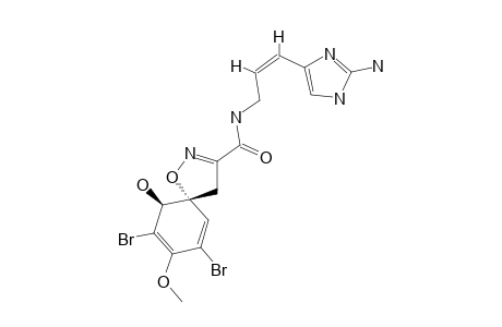 APLYSINAMISINE-1