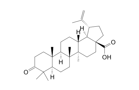 3-oxolup-20(29)-en-28-oic acid