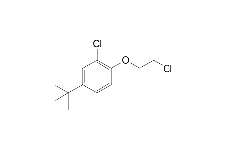 4-Tert-Butyl-.beta.,o-dichlorophenetole