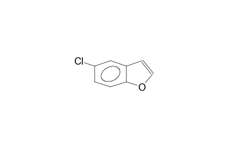 5-Chlorobenzo[b]furan