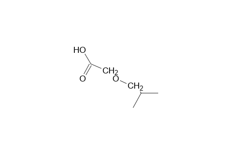isobutoxyacetic acid