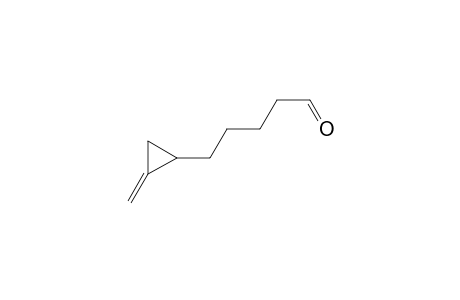 5-(2-Methylenecyclopropyl)pentanal