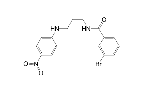 3-Bromanyl-N-[3-[(4-nitrophenyl)amino]propyl]benzamide