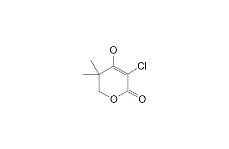 3-CHLORO-4-HYDROXY-5,5-DIMETHYL-5,6-DIHYDRO-2H-PYRAN-2-ONE