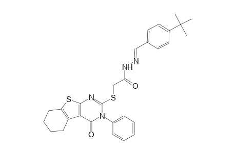 N'-[(E)-(4-tert-butylphenyl)methylidene]-2-[(4-oxo-3-phenyl-3,4,5,6,7,8-hexahydro[1]benzothieno[2,3-d]pyrimidin-2-yl)sulfanyl]acetohydrazide