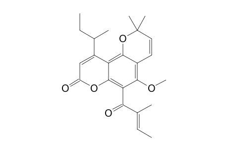 TAMANOLIDE