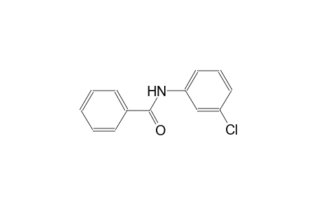 3'-Chloro-benzanilide