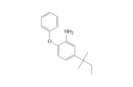 ANILINE, 5-tert-PENTYL-2-PHENOXY-,
