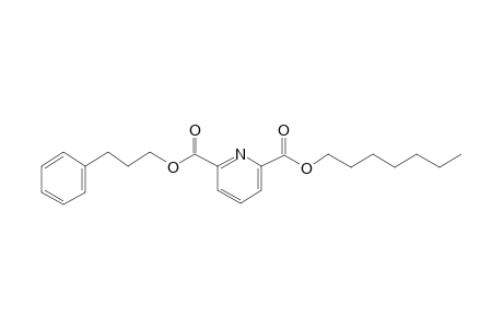 2,6-Pyridinedicarboxylic acid, heptyl 3-phenylpropyl ester