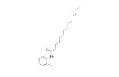 2',3'-tetradecanoxylidide