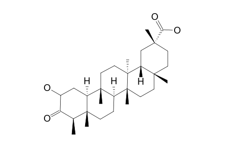 2-HYDROXY-3-OXO-FRIEDELAN-29-OIC-ACID