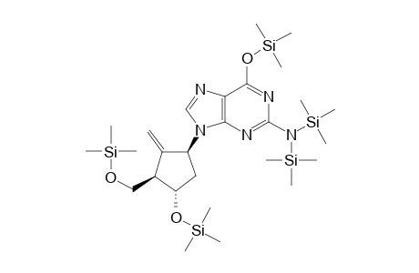 Entecavir 5TMS