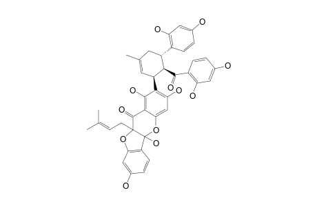 SANGGENON-C