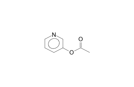 3-Pyridinol, acetate (ester)