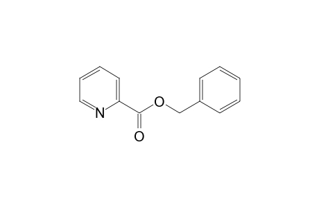 Picolinic acid, benzyl ester