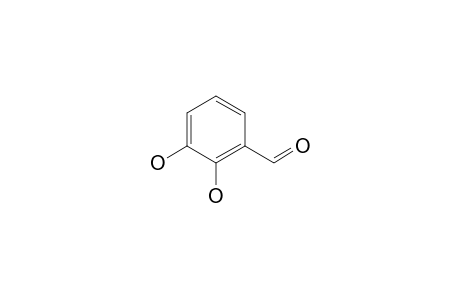 2,3-Dihydroxybenzaldehyde