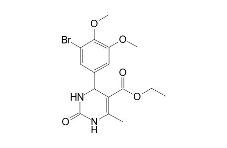 4-(3-bromo-4,5-dimethoxy-phenyl)-2-keto-6-methyl-3,4-dihydro-1H-pyrimidine-5-carboxylic acid ethyl ester