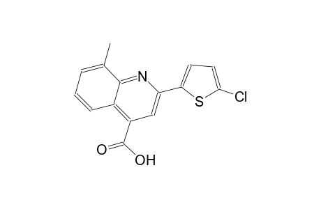 2-(5-chloro-2-thienyl)-8-methyl-4-quinolinecarboxylic acid