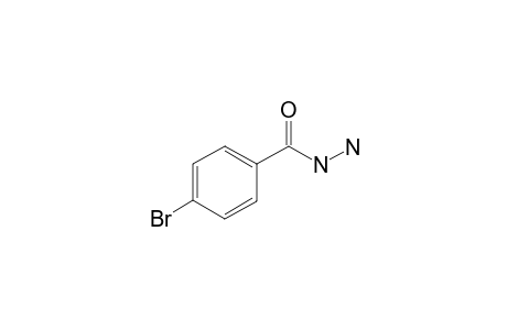 4-Bromobenzhydrazide