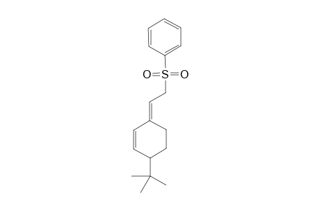 (E)-2-(4-Tert-butylcyclohex-2-en-1-ylidene)ethyl phenyl sulfonone