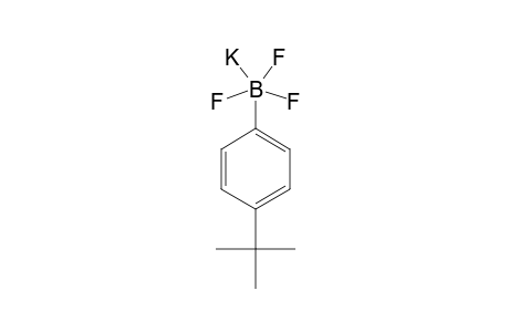 Potassium 4-tert-butylphenyltrifluoroborate