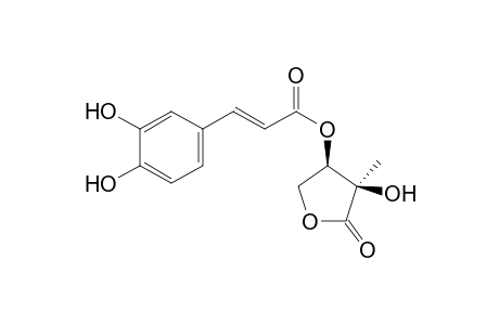 3-O-CAFFEOYL-2-C-METHYL-D-ERYTHRONO-1,4-LACTONE