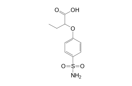 2-(p-sulfamoylphenoxy)butyric acid