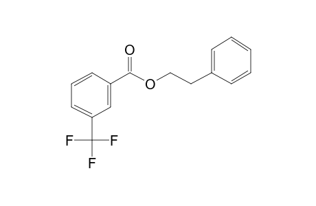 3-Trifluoromethylbenzoic acid, 2-phenylethyl ester