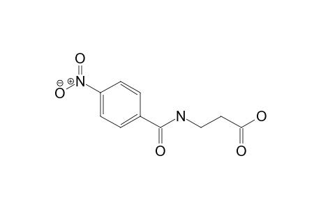 N-(4-nitrobenzoyl)-beta-alanine