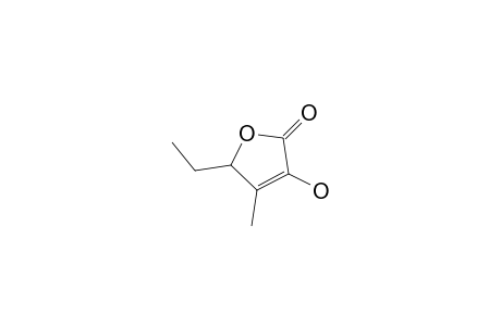 5-ethyl-3-hydroxy-4-methyl-5H-furan-2-one