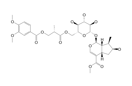 6'-[2(R)-METHYL-3-VERATROYLOXYPROPANOYL]-LOGANIN