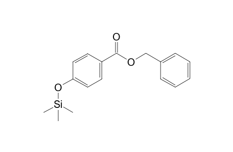 Benzyl 4-hydroxybenzoate, mono-TMS