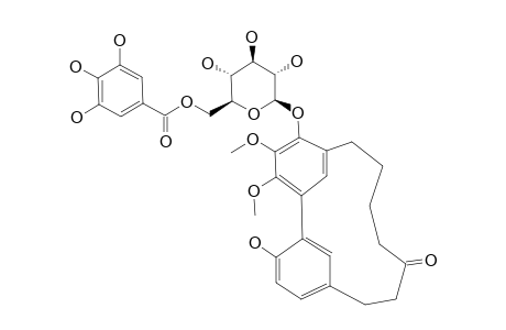 MYRICANONE-17-O-BETA-D-(6-O-GALLOYL)-GLUCOPYRANOSIDE